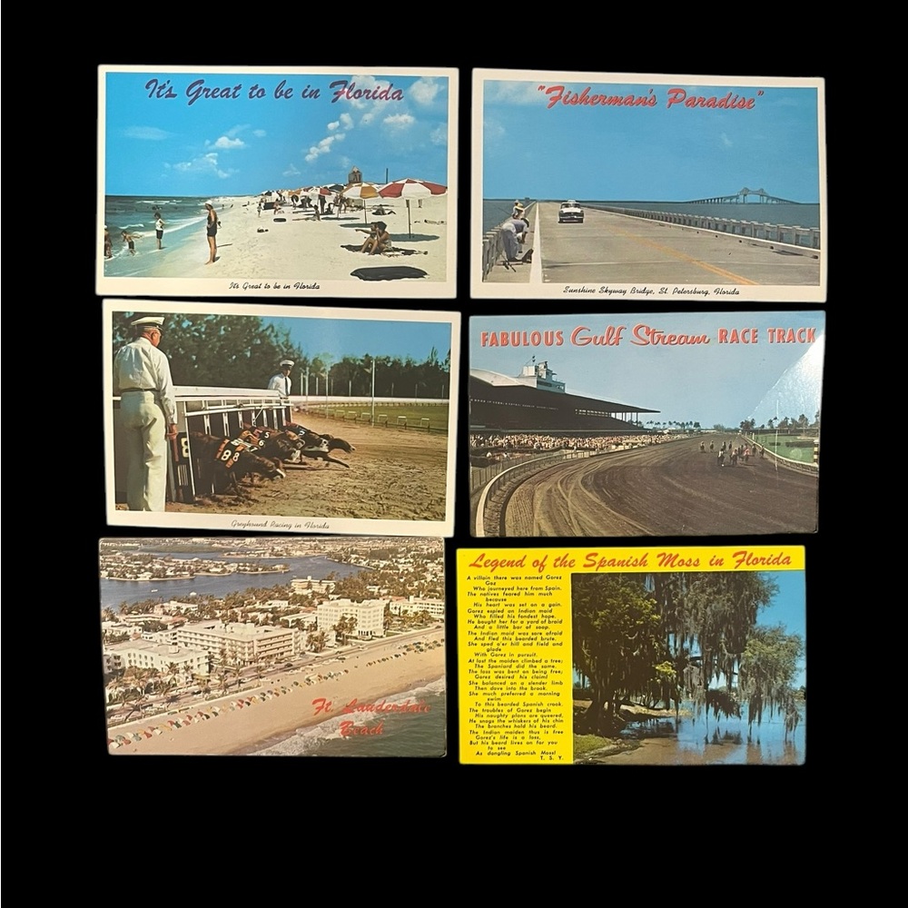 VTG Florida Attractions Postcard Lot Gulf Stream Park Greyhound Racing Beach